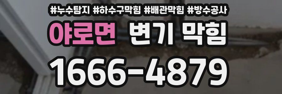 야로면 변기 막힘