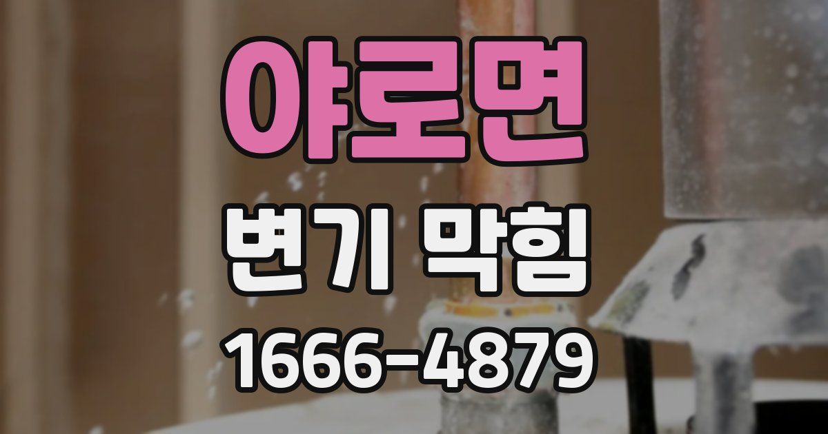 야로면 변기 막힘