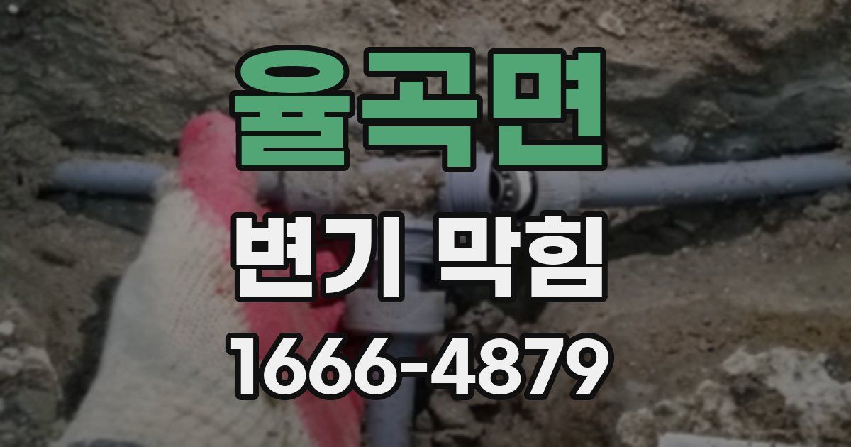 율곡면 변기 막힘