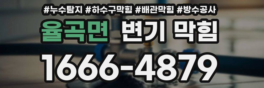 율곡면 변기 막힘