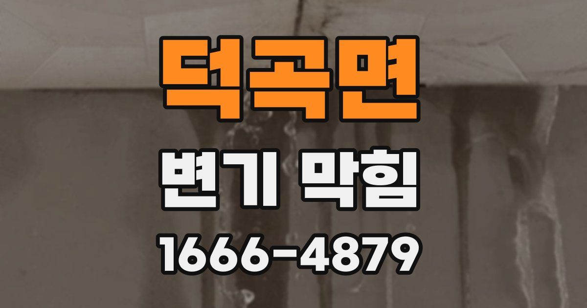 덕곡면 변기 막힘