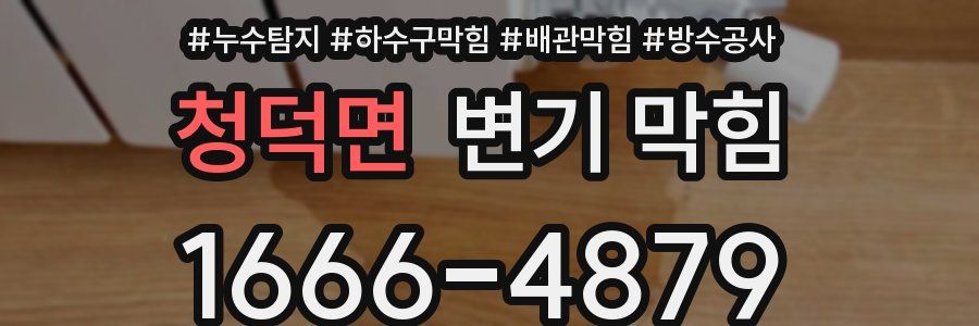 청덕면 변기 막힘