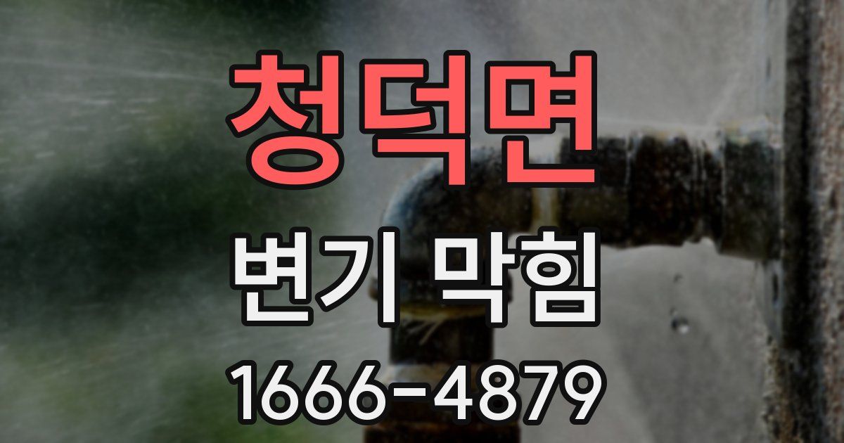 청덕면 변기 막힘