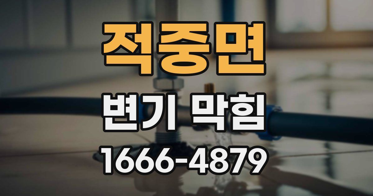 적중면 변기 막힘