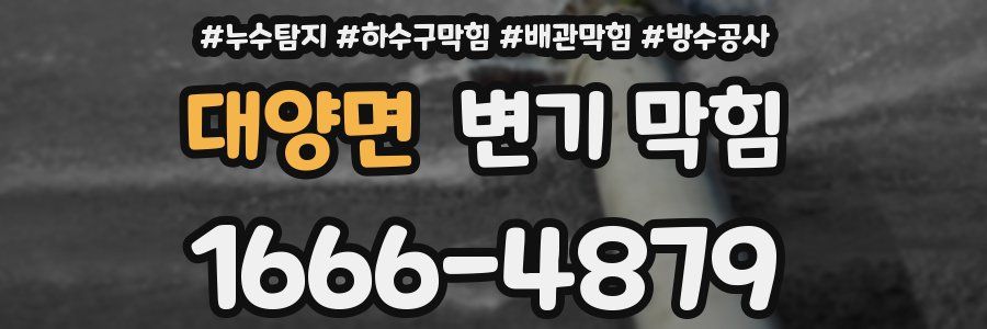 대양면 변기 막힘
