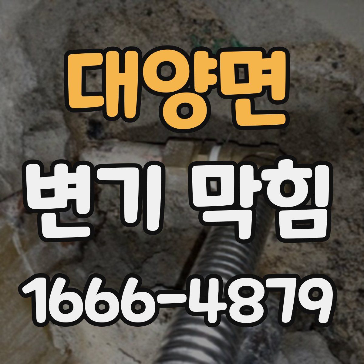 대양면 변기 막힘