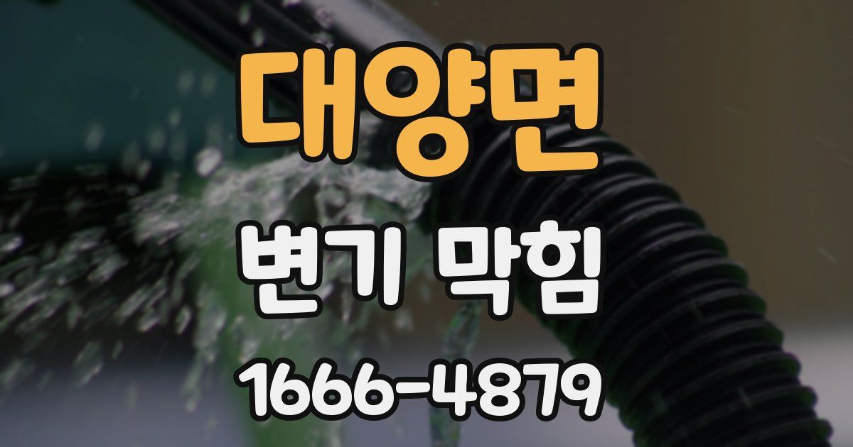 대양면 변기 막힘
