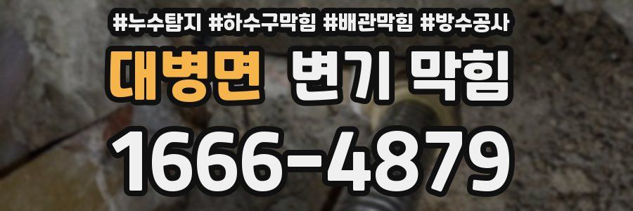 대병면 변기 막힘
