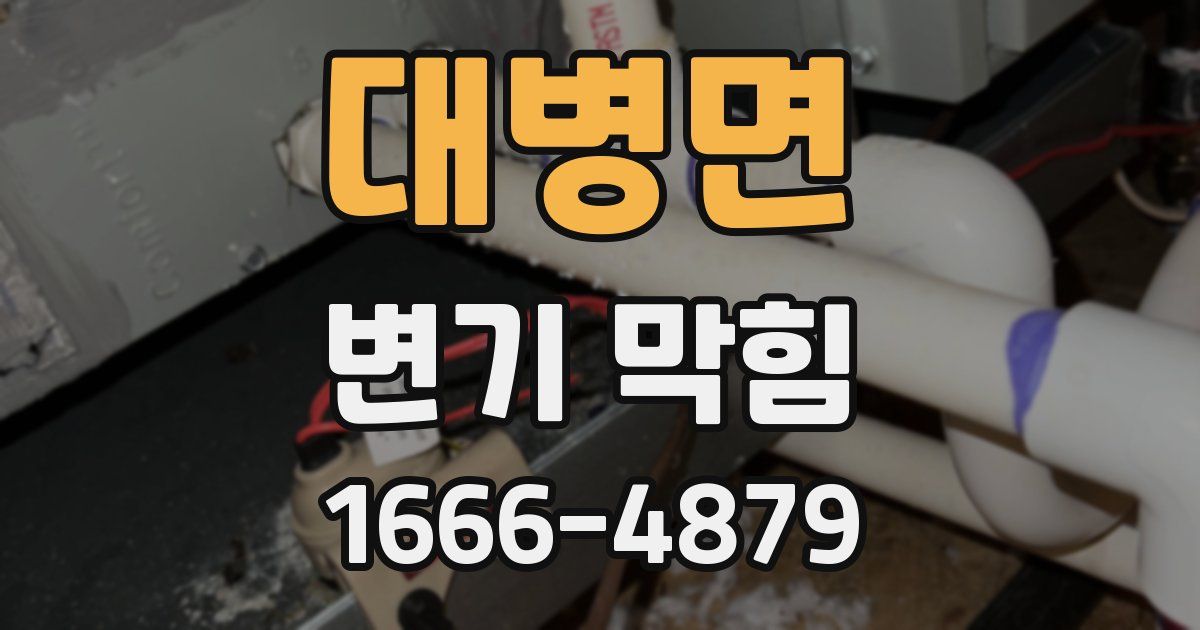 대병면 변기 막힘