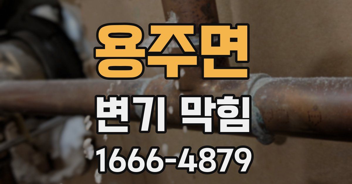 용주면 변기 막힘
