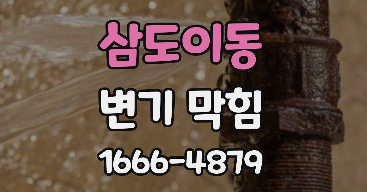 삼도이동 변기 막힘