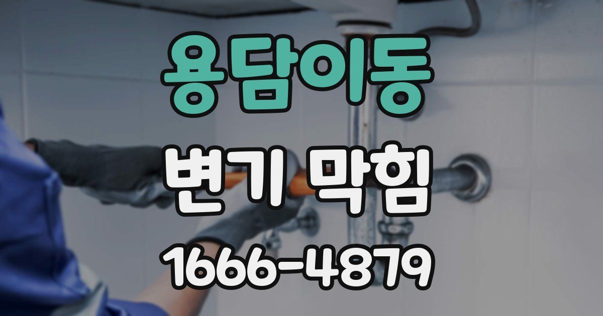 용담이동 변기 막힘