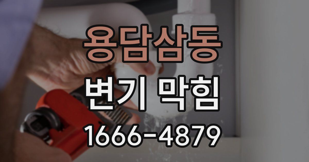 용담삼동 변기 막힘