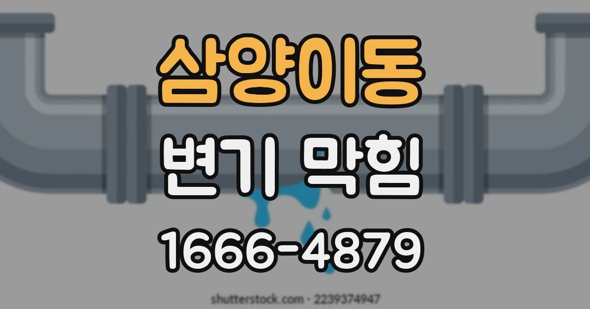 삼양이동 변기 막힘