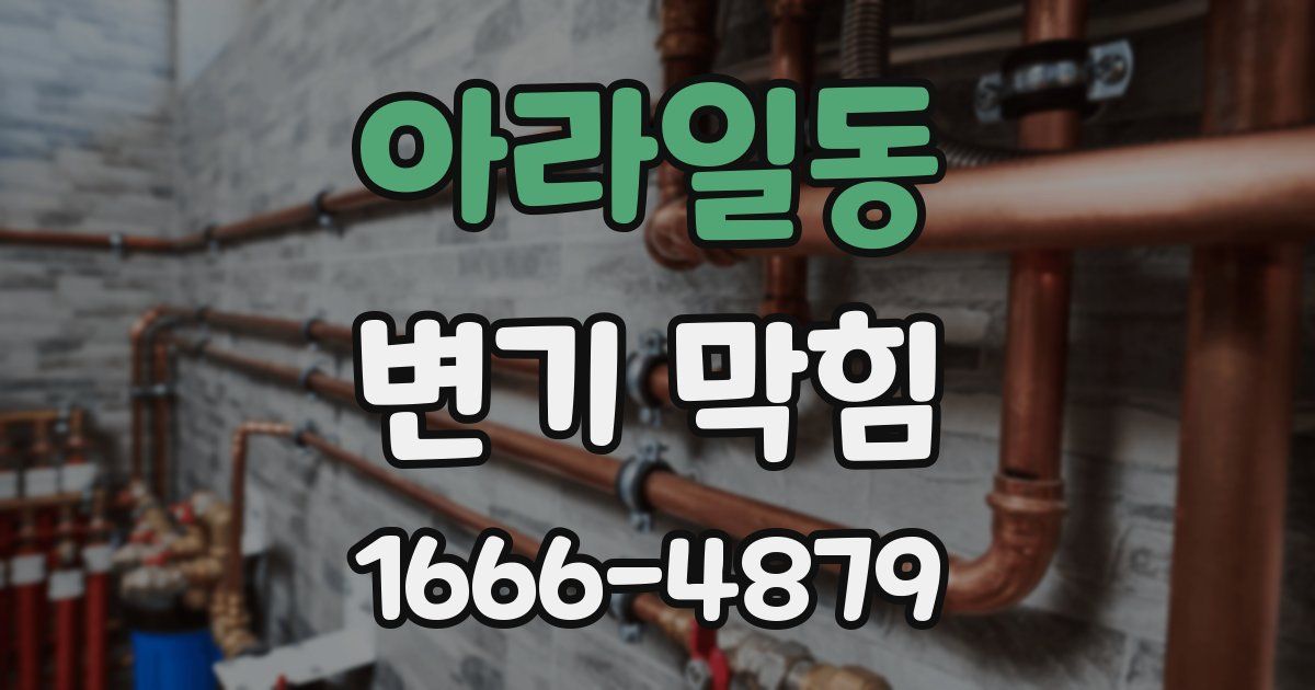 아라일동 변기 막힘
