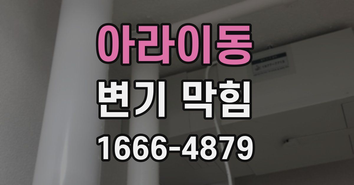 아라이동 변기 막힘