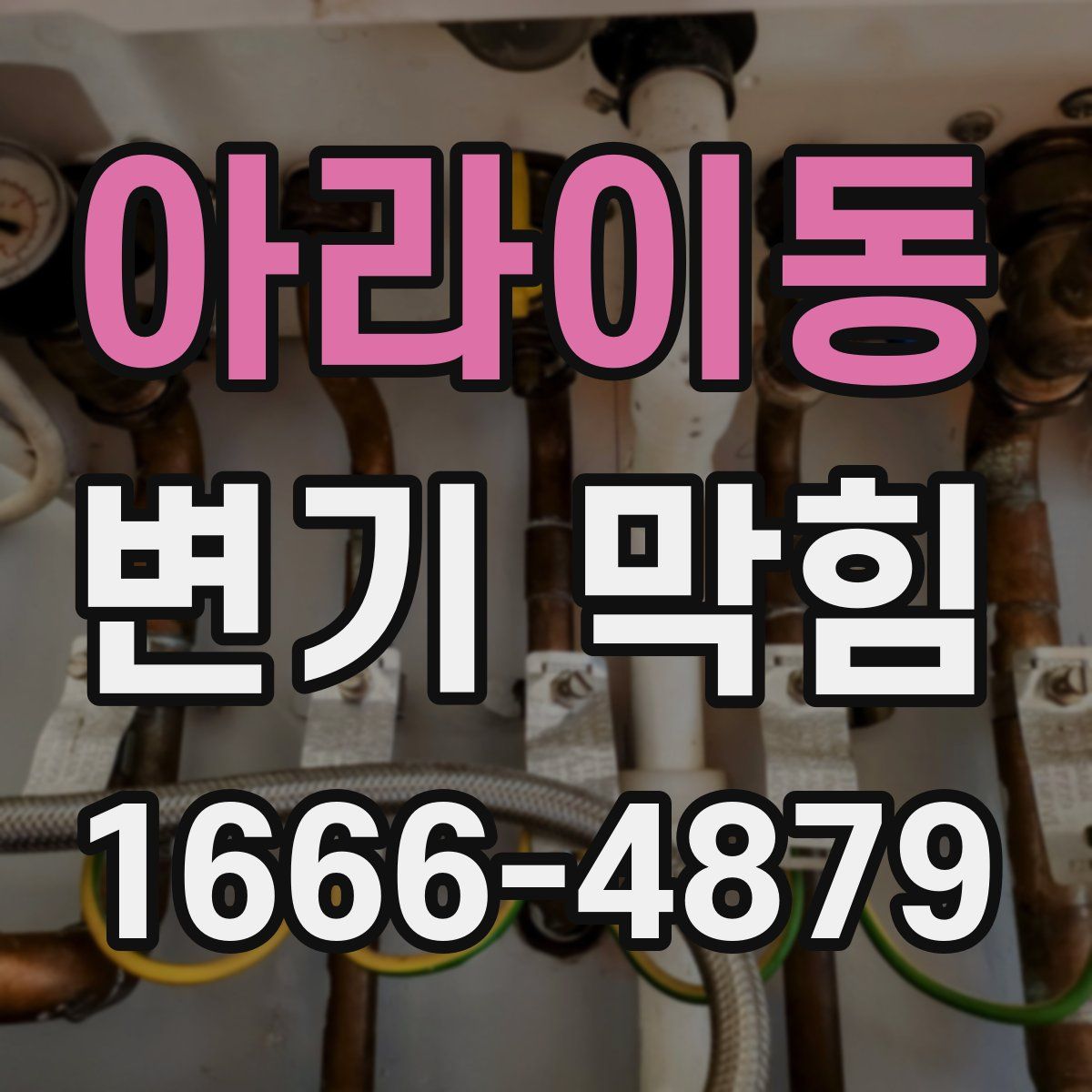 아라이동 변기 막힘