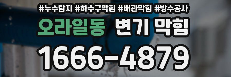 오라일동 변기 막힘