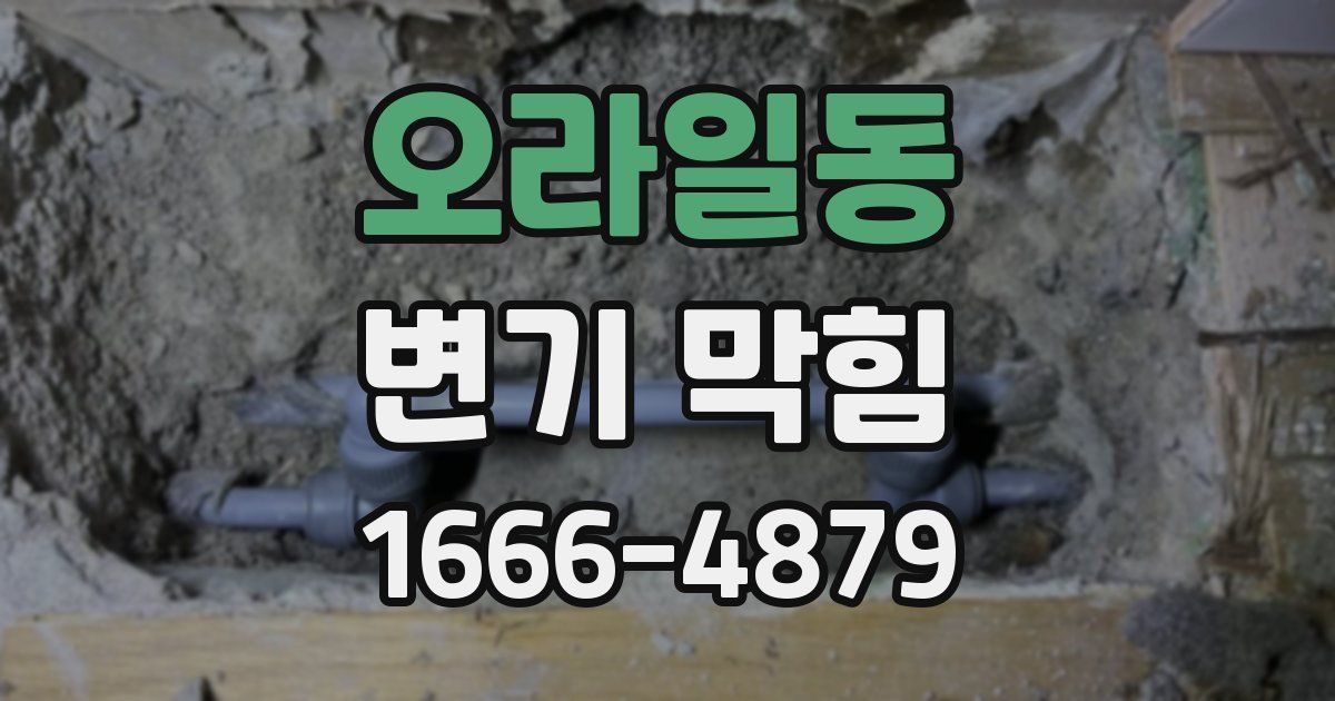오라일동 변기 막힘