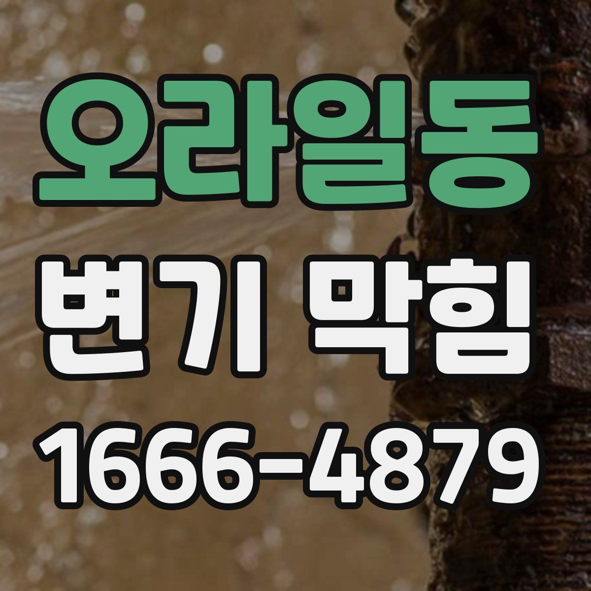 오라일동 변기 막힘
