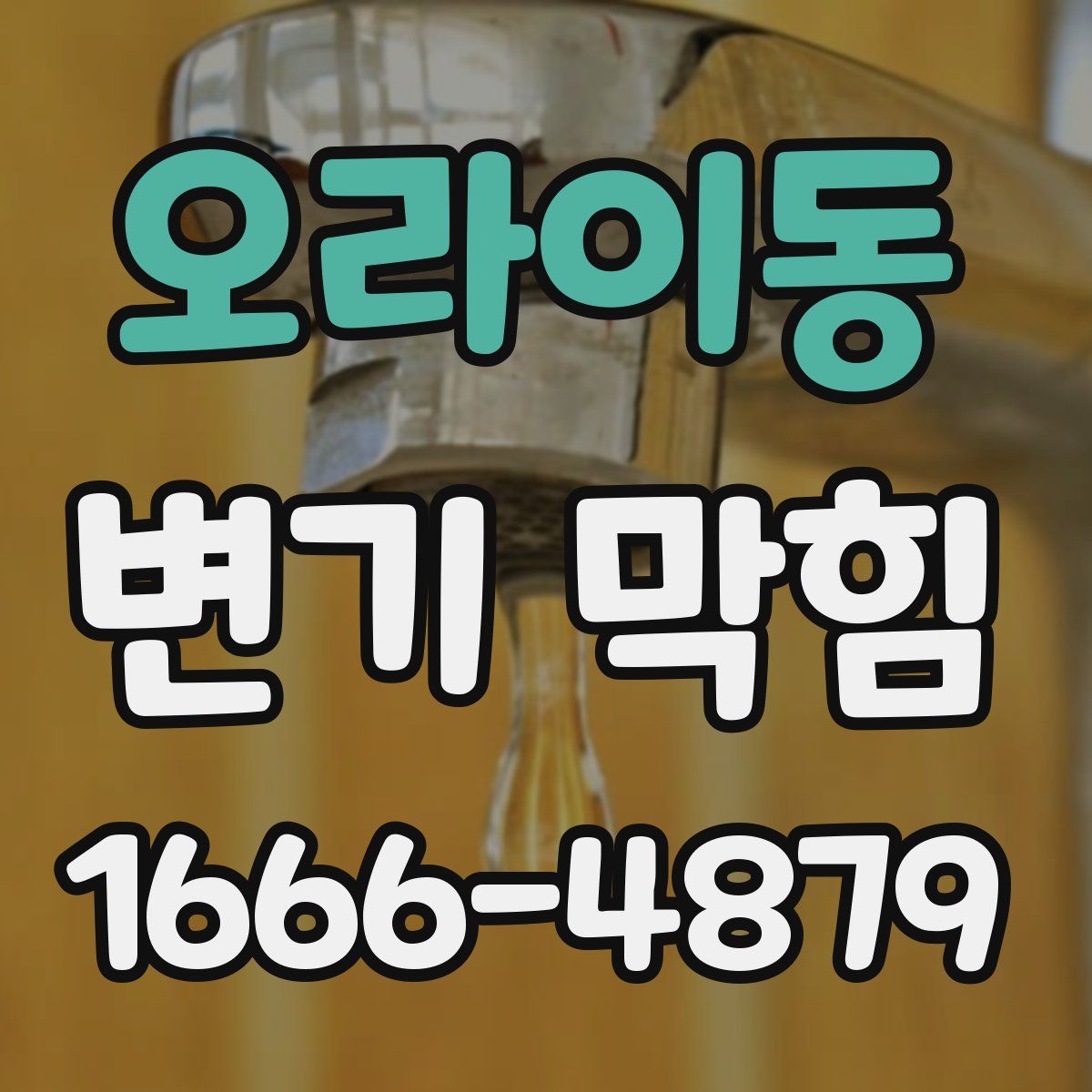 오라이동 변기 막힘