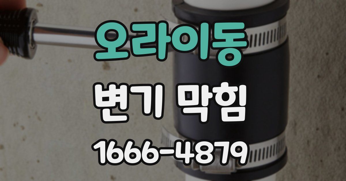 오라이동 변기 막힘