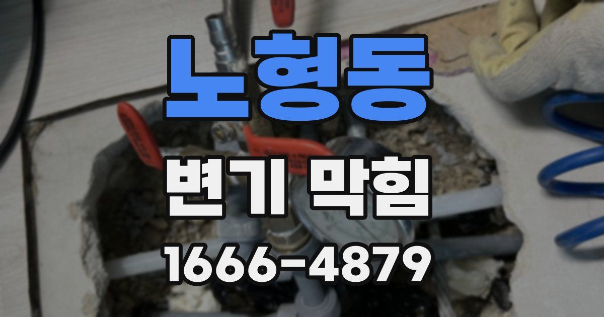 노형동 변기 막힘