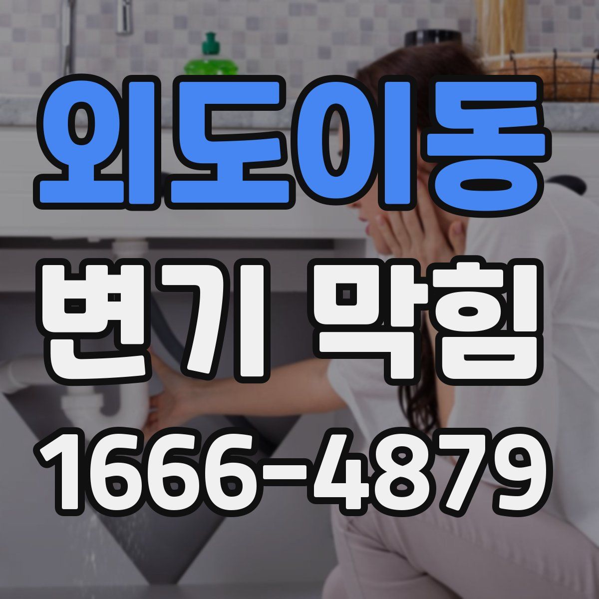외도이동 변기 막힘