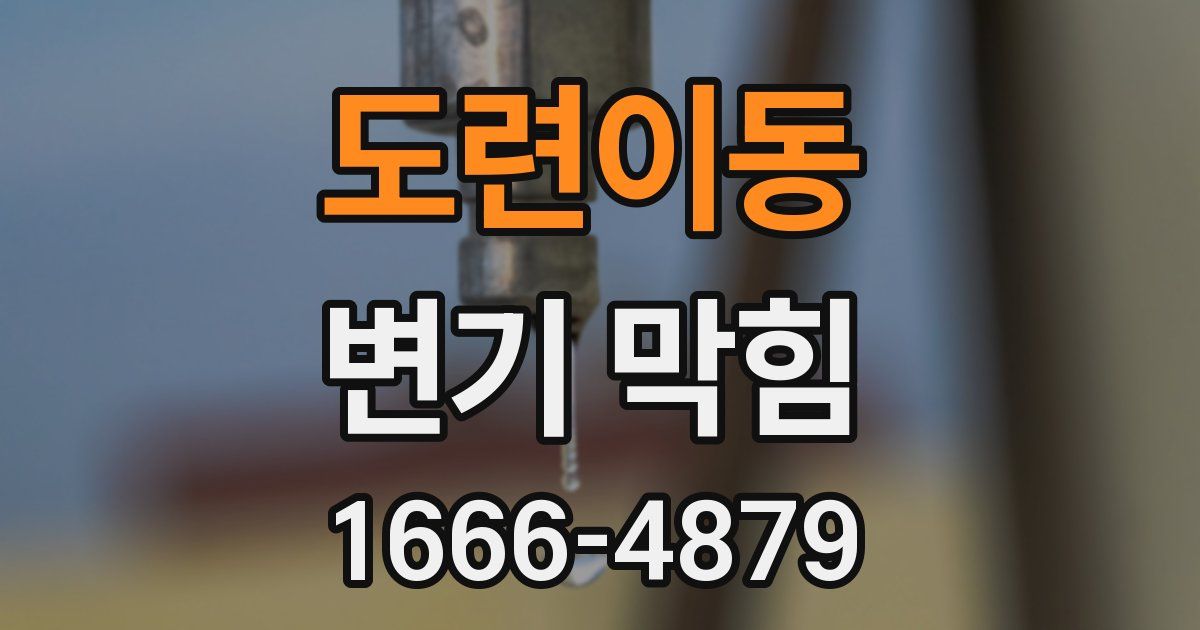 도련이동 변기 막힘