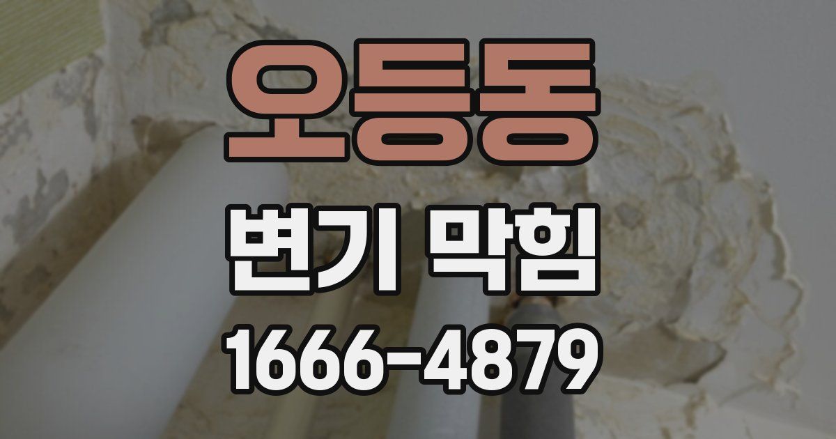 오등동 변기 막힘