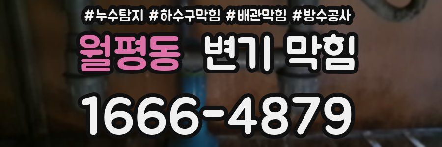 월평동 변기 막힘