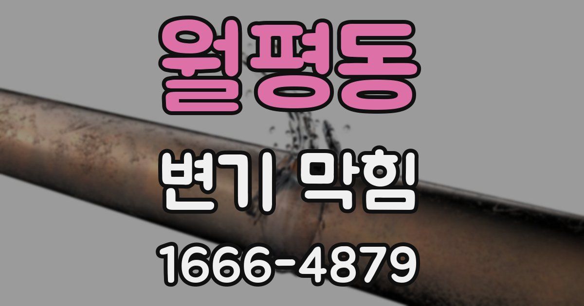 월평동 변기 막힘