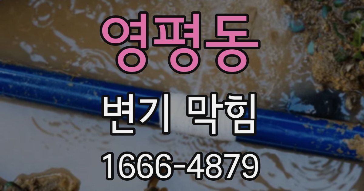 영평동 변기 막힘