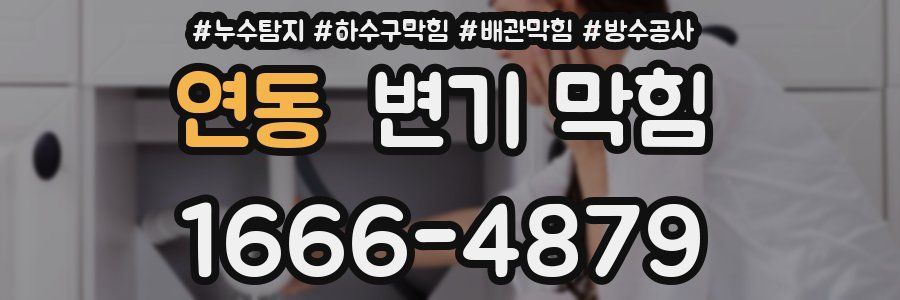 연동 변기 막힘