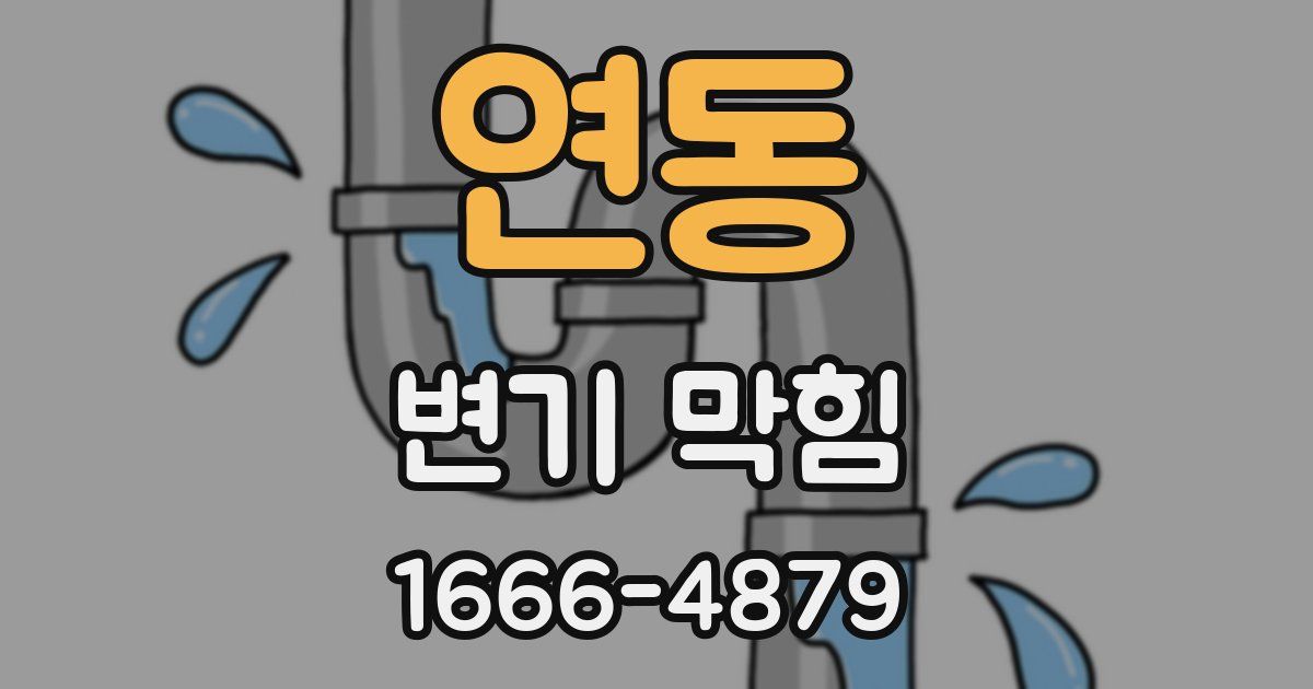 연동 변기 막힘