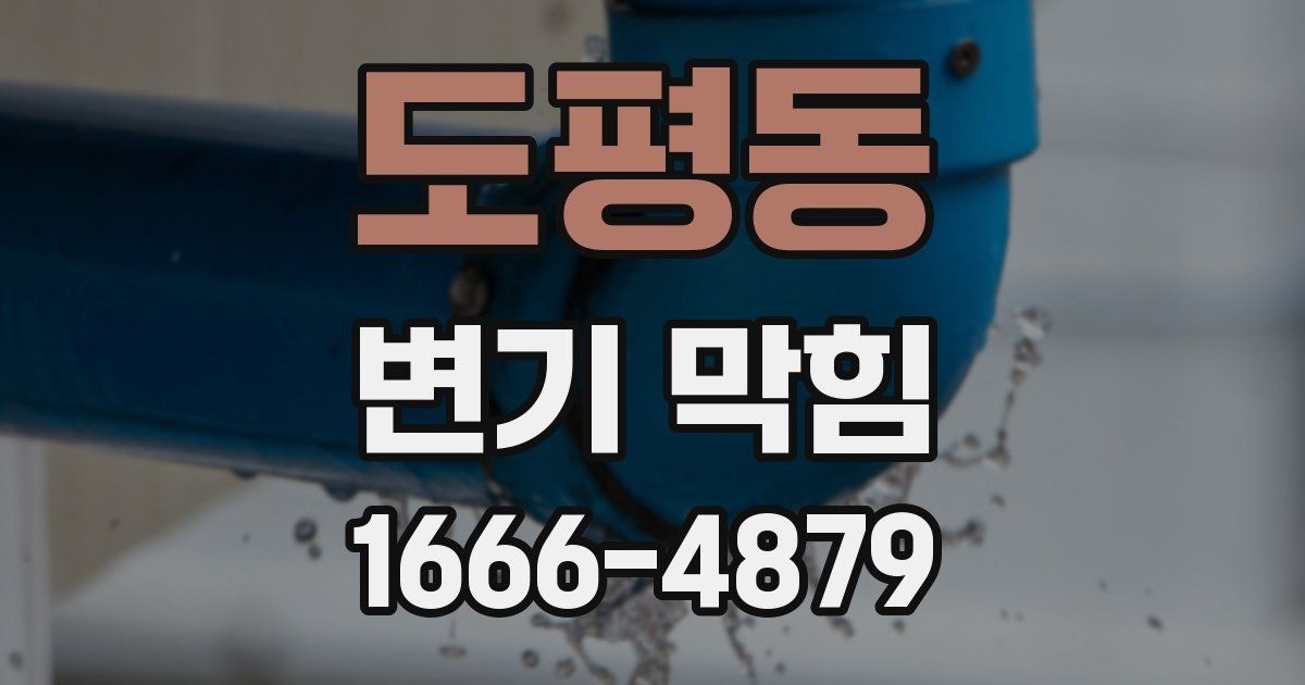 도평동 변기 막힘