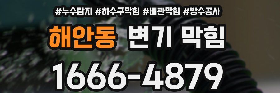 해안동 변기 막힘