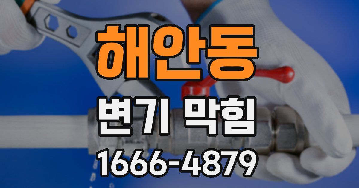 해안동 변기 막힘