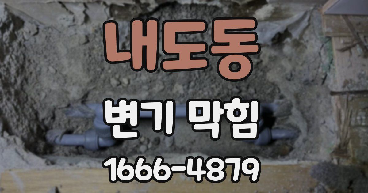 내도동 변기 막힘