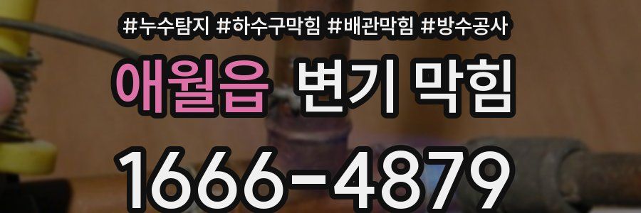 애월읍 변기 막힘