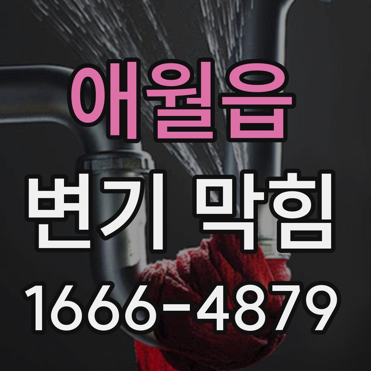 애월읍 변기 막힘