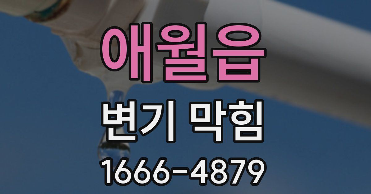 애월읍 변기 막힘