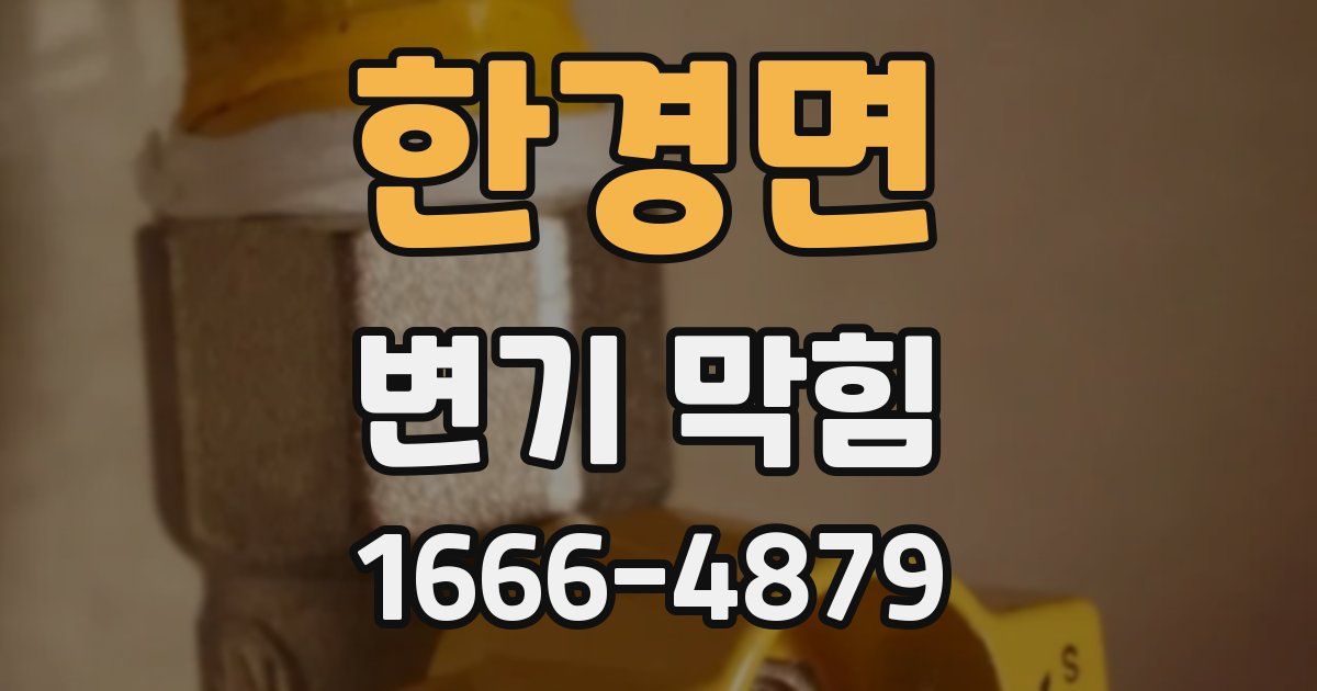 한경면 변기 막힘