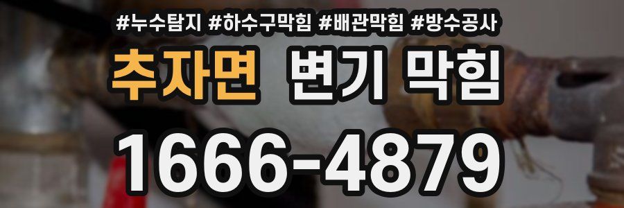추자면 변기 막힘