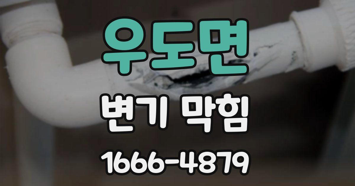 우도면 변기 막힘