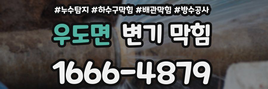 우도면 변기 막힘