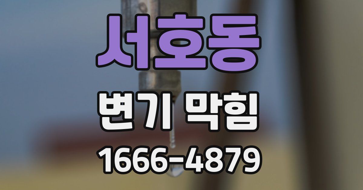 서호동 변기 막힘