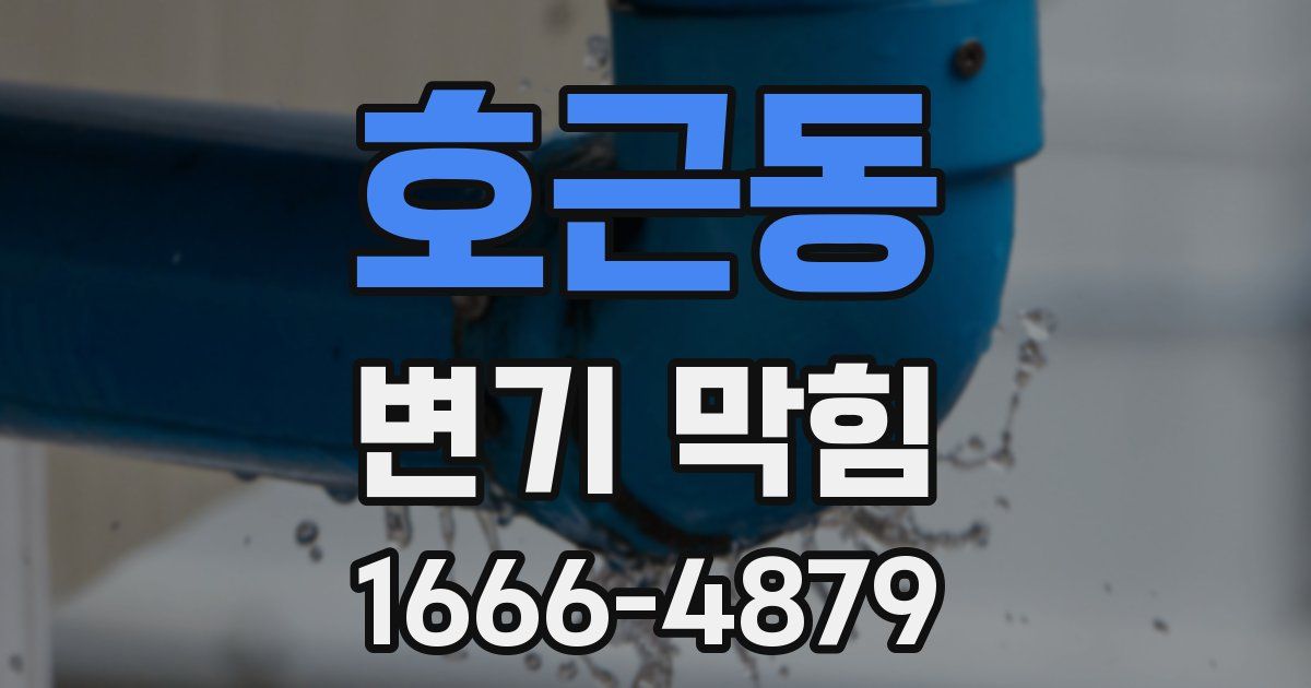 호근동 변기 막힘
