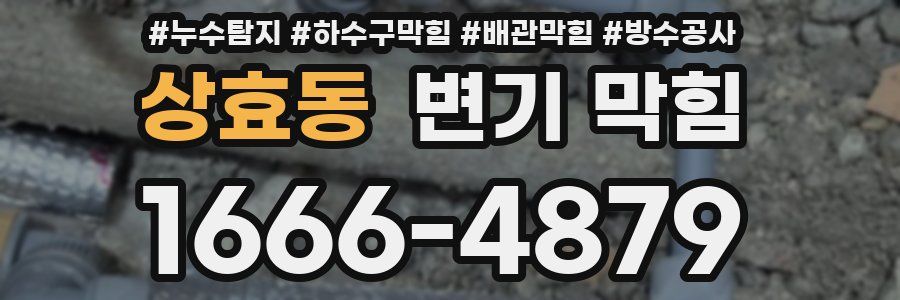 상효동 변기 막힘