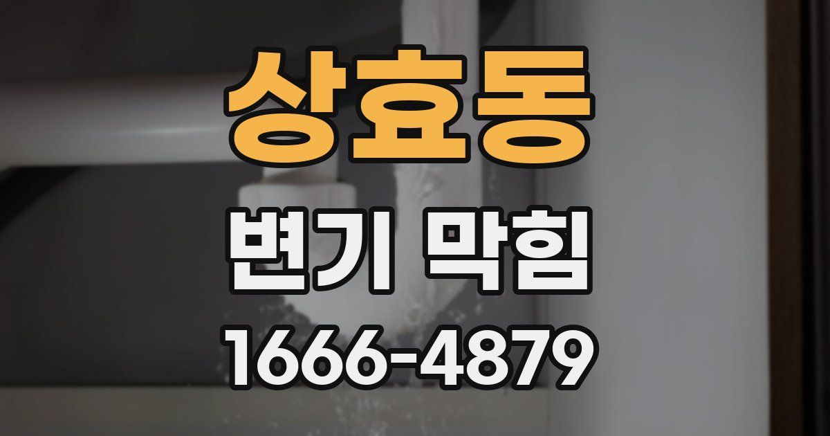 상효동 변기 막힘